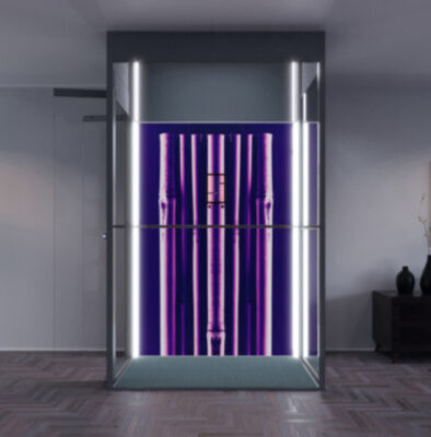 home lift price